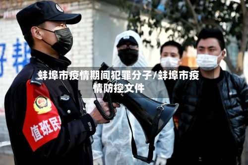 蚌埠市疫情期间犯罪分子/蚌埠市疫情防控文件-第2张图片