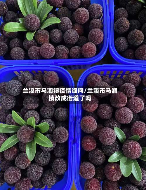 兰溪市马涧镇疫情询问/兰溪市马涧镇改成街道了吗-第1张图片