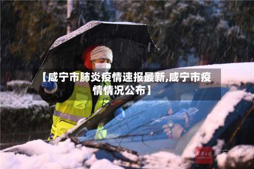 【咸宁市肺炎疫情速报最新,咸宁市疫情情况公布】-第2张图片