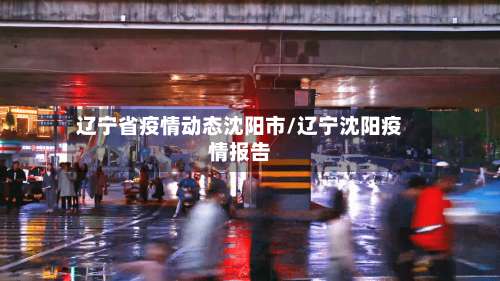 辽宁省疫情动态沈阳市/辽宁沈阳疫情报告-第1张图片