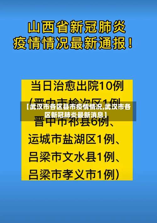 【武汉市各区县市疫情情况,武汉市各区新冠肺炎最新消息】-第2张图片