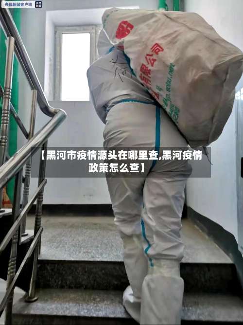 【黑河市疫情源头在哪里查,黑河疫情政策怎么查】-第3张图片