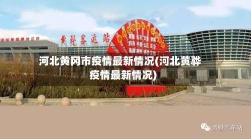 河北黄冈市疫情最新情况(河北黄骅疫情最新情况)-第1张图片