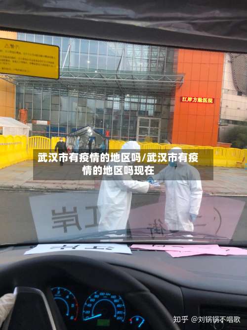 武汉市有疫情的地区吗/武汉市有疫情的地区吗现在-第2张图片
