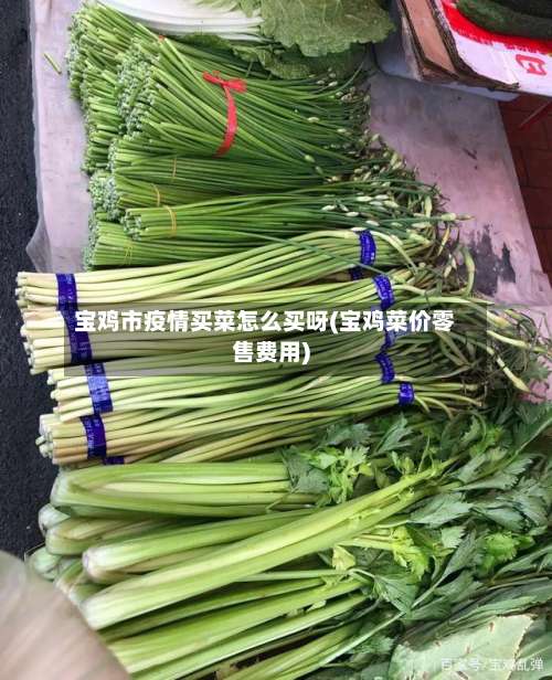 宝鸡市疫情买菜怎么买呀(宝鸡菜价零售费用)-第1张图片