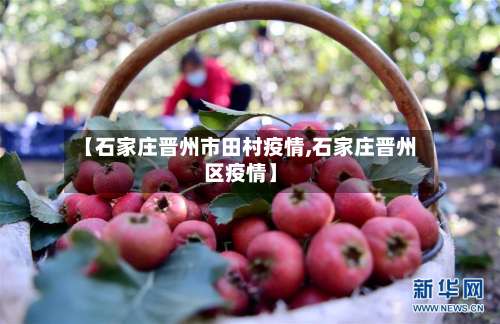 【石家庄晋州市田村疫情,石家庄晋州区疫情】-第1张图片