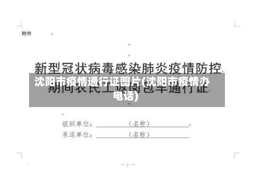 沈阳市疫情通行证图片(沈阳市疫情办电话)-第1张图片