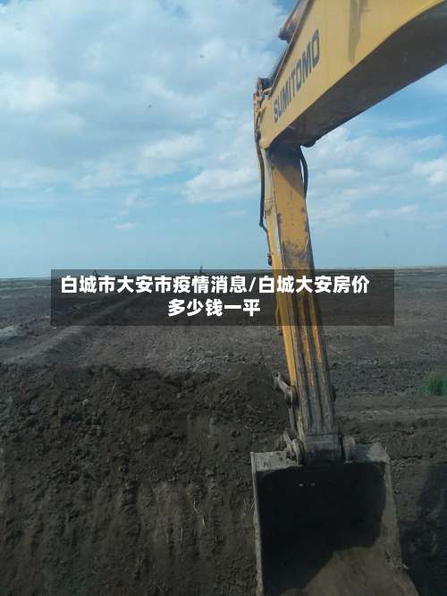 白城市大安市疫情消息/白城大安房价多少钱一平-第1张图片
