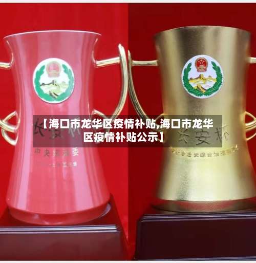 【海口市龙华区疫情补贴,海口市龙华区疫情补贴公示】-第1张图片