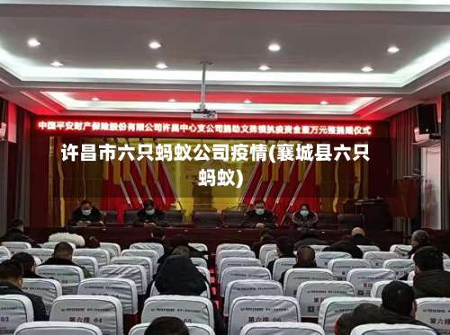 许昌市六只蚂蚁公司疫情(襄城县六只蚂蚁)-第1张图片