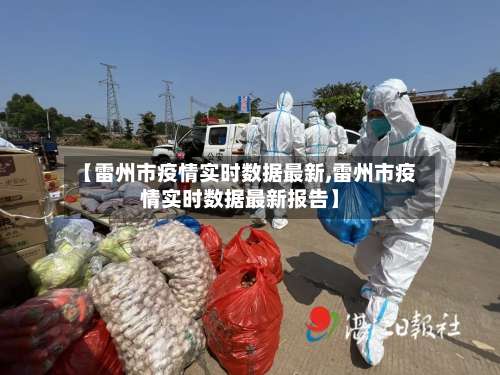 【雷州市疫情实时数据最新,雷州市疫情实时数据最新报告】-第2张图片