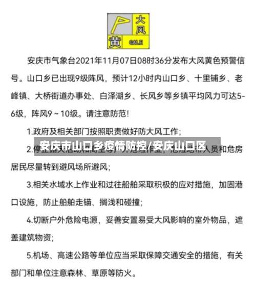 安庆市山口乡疫情防控/安庆山口区-第1张图片