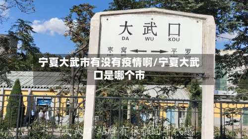 宁夏大武市有没有疫情啊/宁夏大武口是哪个市-第1张图片