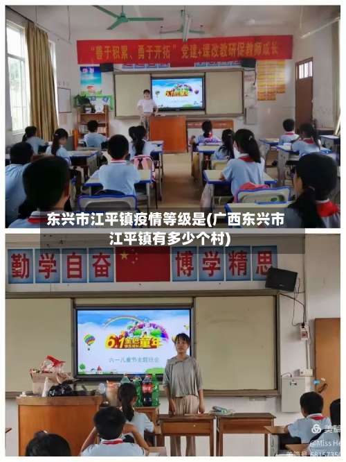 东兴市江平镇疫情等级是(广西东兴市江平镇有多少个村)-第3张图片
