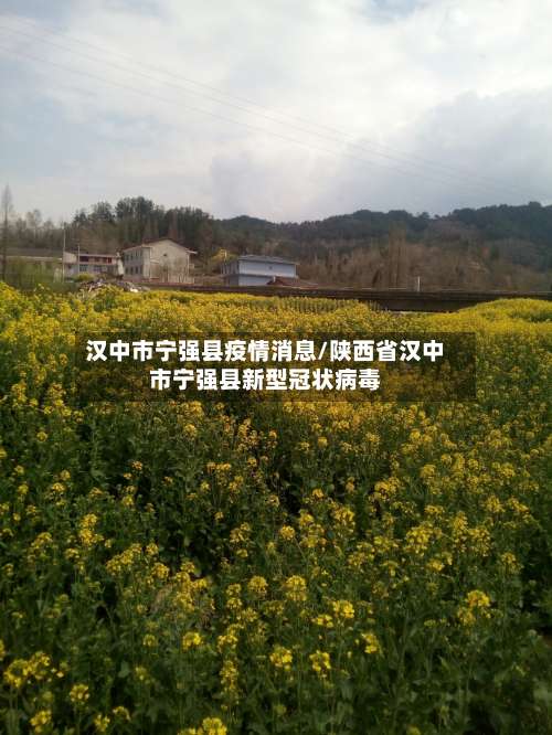汉中市宁强县疫情消息/陕西省汉中市宁强县新型冠状病毒-第1张图片