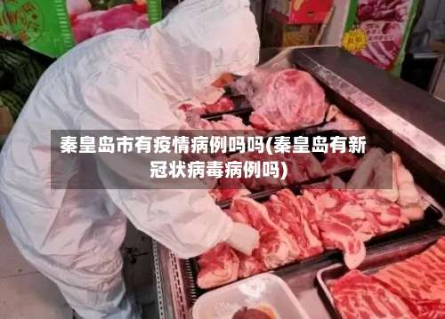 秦皇岛市有疫情病例吗吗(秦皇岛有新冠状病毒病例吗)-第1张图片