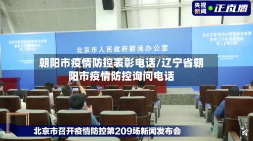 朝阳市疫情防控表彰电话/辽宁省朝阳市疫情防控询问电话-第2张图片