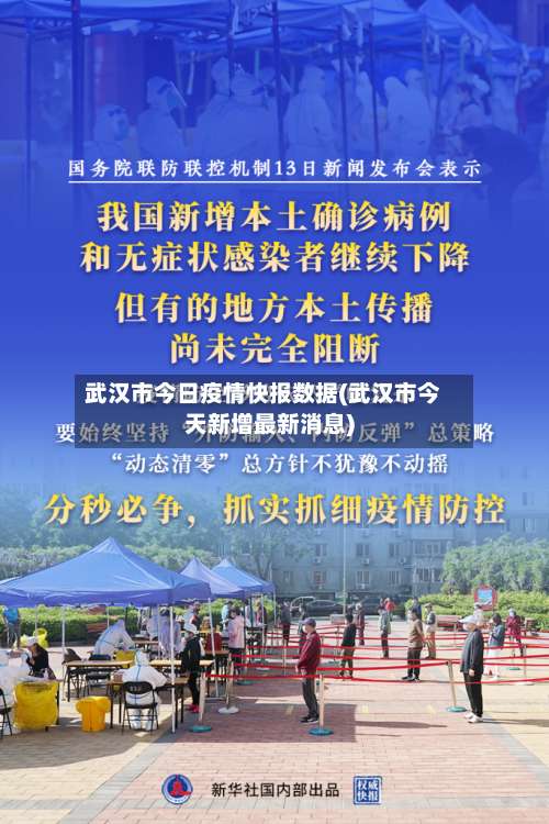 武汉市今日疫情快报数据(武汉市今天新增最新消息)-第2张图片