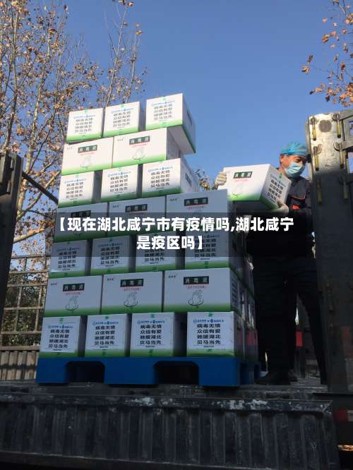 【现在湖北咸宁市有疫情吗,湖北咸宁是疫区吗】-第1张图片