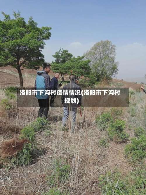 洛阳市下沟村疫情情况(洛阳市下沟村规划)-第1张图片