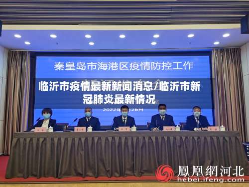 临沂市疫情最新新闻消息/临沂市新冠肺炎最新情况-第1张图片