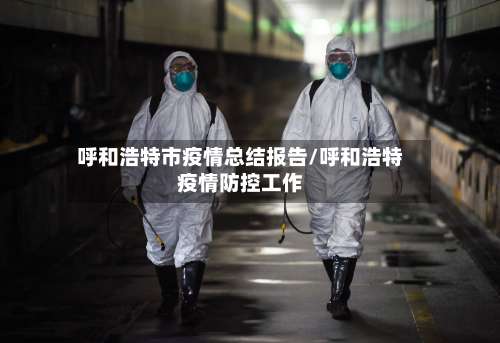 呼和浩特市疫情总结报告/呼和浩特疫情防控工作-第1张图片