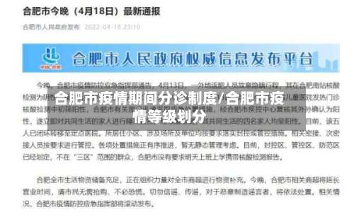 合肥市疫情期间分诊制度/合肥市疫情等级划分-第2张图片