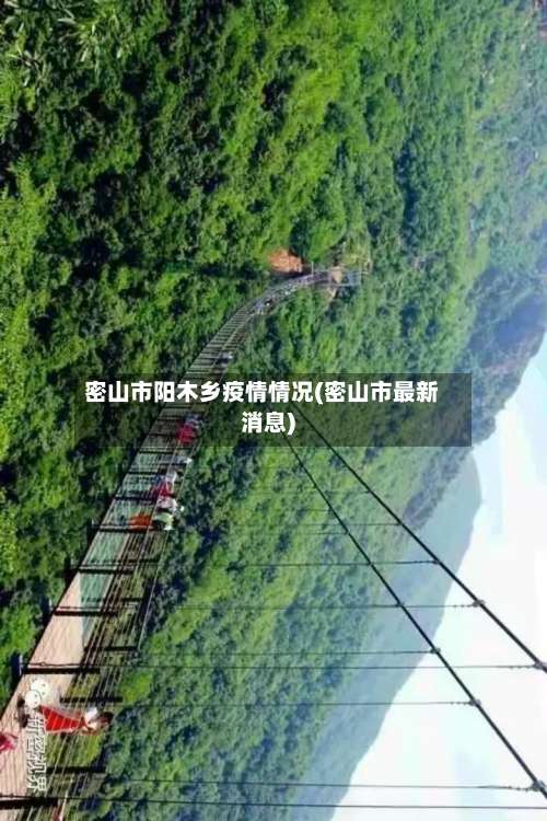 密山市阳木乡疫情情况(密山市最新消息)-第1张图片