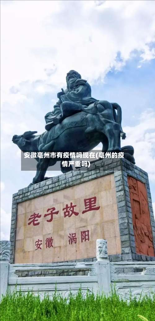 安徽亳州市有疫情吗现在(亳州的疫情严重吗)-第2张图片