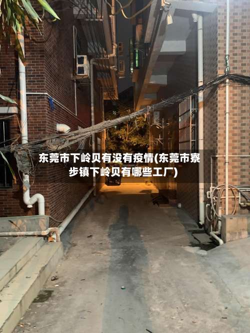 东莞市下岭贝有没有疫情(东莞市寮步镇下岭贝有哪些工厂)-第1张图片