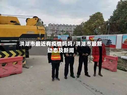 洪湖市最近有疫情吗吗/洪湖市最新动态及新闻-第2张图片