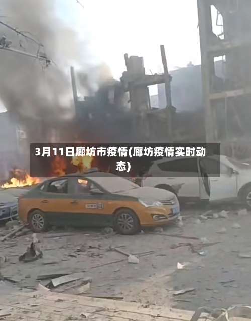 3月11日廊坊市疫情(廊坊疫情实时动态)-第2张图片