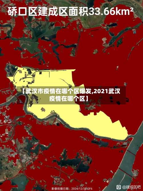 【武汉市疫情在哪个区爆发,2021武汉疫情在哪个区】-第1张图片