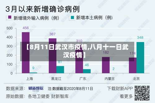 【8月11日武汉市疫情,八月十一日武汉疫情】-第1张图片
