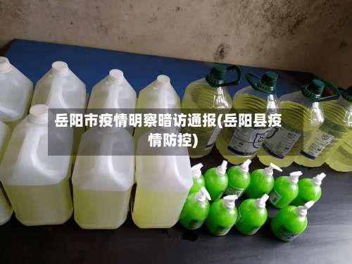 岳阳市疫情明察暗访通报(岳阳县疫情防控)-第1张图片