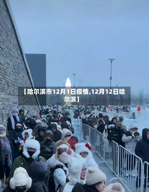 【哈尔滨市12月1日疫情,12月12日哈尔滨】-第3张图片