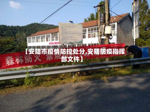 【安陆市疫情防控处分,安陆防疫指挥部文件】-第3张图片
