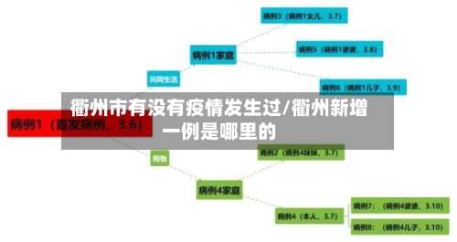 衢州市有没有疫情发生过/衢州新增一例是哪里的-第1张图片