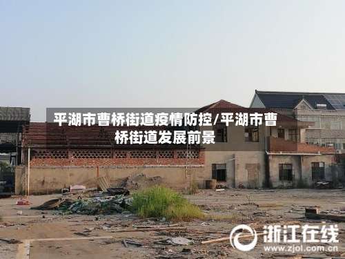 平湖市曹桥街道疫情防控/平湖市曹桥街道发展前景-第2张图片