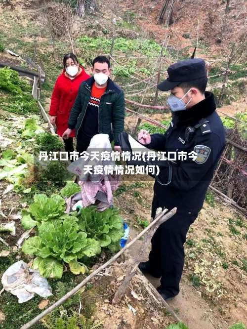 丹江口市今天疫情情况(丹江口市今天疫情情况如何)-第2张图片