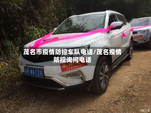 茂名市疫情防控车队电话/茂名疫情防控询问电话-第1张图片