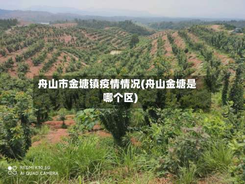 舟山市金塘镇疫情情况(舟山金塘是哪个区)-第1张图片