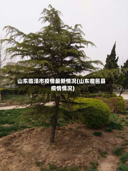 山东临泽市疫情最新情况(山东临邑县疫情情况)-第1张图片