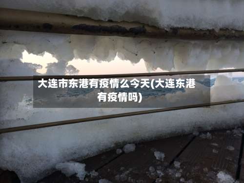 大连市东港有疫情么今天(大连东港有疫情吗)-第2张图片