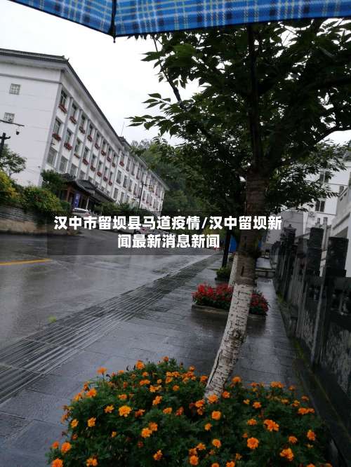 汉中市留坝县马道疫情/汉中留坝新闻最新消息新闻-第1张图片