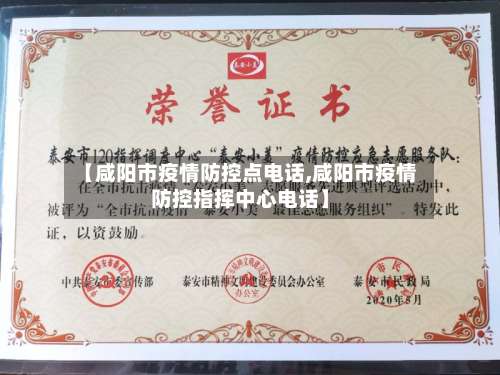 【咸阳市疫情防控点电话,咸阳市疫情防控指挥中心电话】-第1张图片