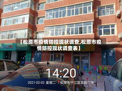 【松原市疫情防控现状调查,松原市疫情防控现状调查表】-第2张图片