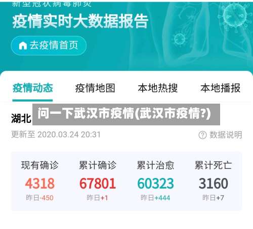 问一下武汉市疫情(武汉市疫情?)-第1张图片