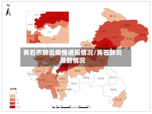 黄石市肺炎疫情通报情况/黄石肺炎最新情况-第2张图片
