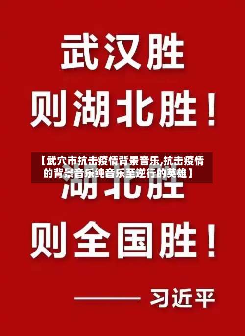 【武穴市抗击疫情背景音乐,抗击疫情的背景音乐纯音乐至逆行的英雄】-第1张图片
